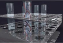 Nueva herramienta para bioseguridad Nueva herramienta para bioseguridad