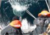 Hallan 200.000 nuevos virus en el mar Hallan 200.000 nuevos virus en el mar