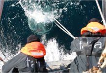 Hallan 200.000 nuevos virus en el mar Hallan 200.000 nuevos virus en el mar