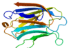 Alzheimer: Bloquean una proteína clave Bloquean una proteína clave del Alzheimer