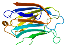 Alzheimer: Bloquean una proteína clave Bloquean una proteína clave del Alzheimer