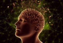Fuegos artificiales de neuronas al recordar Fuegos artificiales de neuronas al recordar