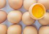 Huevos: técnica para detectar fraudes Tipos de huevos: técnica antifraude
