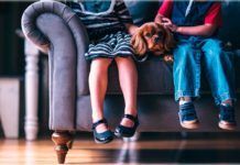 Similitudes genéticas del osteosarcoma entre perros y niños Similitudes genéticas del osteosarcoma entre perros y niños