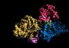 Imágenes inéditas de una nueva clase de antibióticos Imágenes inéditas de una nueva clase de antibióticos
