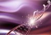 Un gen contribuye al Parkinson, enfermedad de Crohn y la lepra Un gen contribuye al Parkinson, enfermedad de Crohn y la lepra