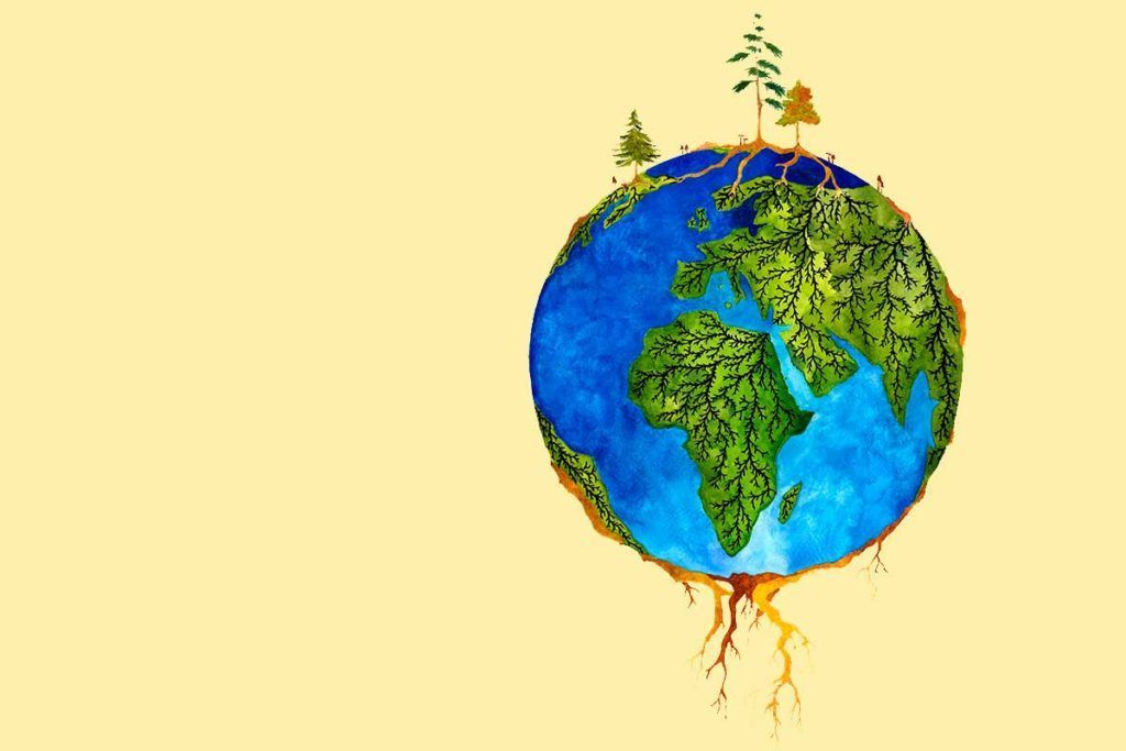 Primer mapa mundial de microbios forestales