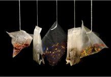 Las nuevas bolsitas de plástico de té liberan partículas microscópicas Las nuevas bolsitas de plástico de té liberan partículas microscópicas