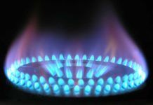 Detectores de gas artificiales que imitan el lenguaje de las células Detectores de gases artificiales que imitan el lenguaje de las células