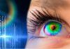 ¿Cómo el ojo procesa el brillo de la luz? ¿Cómo el ojo procesa el brillo de la luz?
