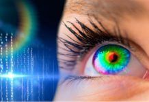 ¿Cómo el ojo procesa el brillo de la luz? ¿Cómo el ojo procesa el brillo de la luz?
