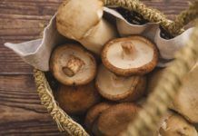 Comer hongos reduce el riesgo de cáncer de próstata Comer hongos reduce el riesgo de cáncer de próstata