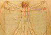 ‘Proporción Áurea’ de Leonardo en cráneos humanos ‘Proporción Áurea’ de Leonardo en cráneos humanos