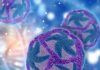 Nueva clasificación de los virus Reclasificación de los virus