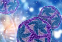Nueva clasificación de los virus Reclasificación de los virus
