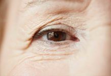 Identifican una proteína clave vinculada al envejecimiento Identifican una proteína clave vinculada al envejecimiento