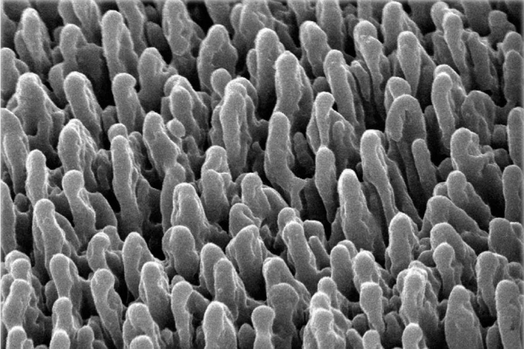 Silicio negro para detectar contaminantes