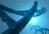 Ya son 102 los genes asociados al autismo Ya son 102 los genes asociados al autismo