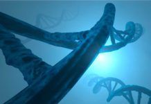 Ya son 102 los genes asociados al autismo Ya son 102 los genes asociados al autismo