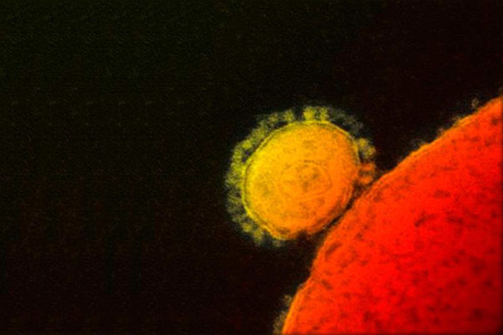 Coronavirus: científicos suecos critican a la OMS