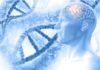 Variantes genéticas naturales protegen contra el Alzheimer Variantes genéticas naturales protegen contra el Alzheimer