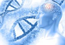 Variantes genéticas naturales protegen contra el Alzheimer Variantes genéticas naturales protegen contra el Alzheimer