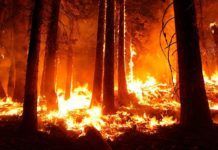 La próxima recesión podría estar ligada al clima extremo La próxima recesión podría estar ligada al clima extremo