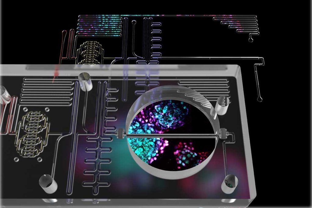 Páncreas artificial en un chip