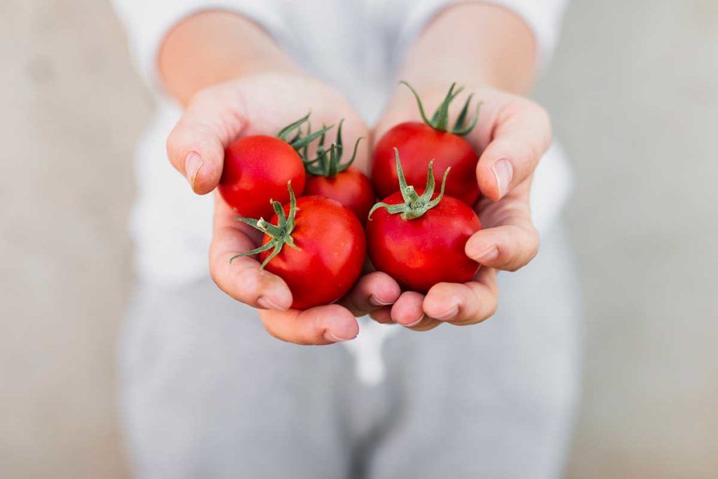 ¿Vuelven los tomates con sabor a tomate?
