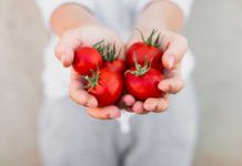 ¿Vuelven los tomates con sabor a tomate? ¿Vuelven los tomates con sabor a tomate?