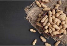 Alergia al cacahuete: nuevo y prometedor enfoque Alergia al cacahuete: nuevo y prometedor enfoque