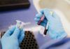 Primer análisis de sangre que detecta con precisión 50 tipos de cáncer Primer análisis de sangre que detecta con precisión 50 tipos de cáncer
