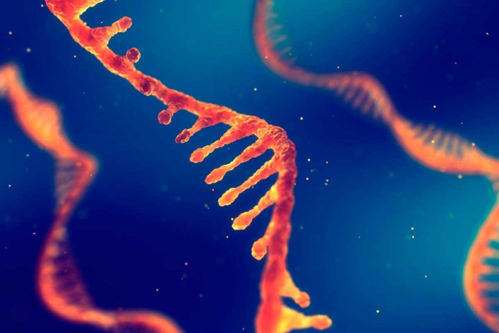 ¿Cómo evolucionan las cepas del nuevo coronavirus?