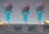 Nuevo biosensor diagnostica coronavirus en un minuto Nuevo biosensor diagnostica coronavirus en un minuto