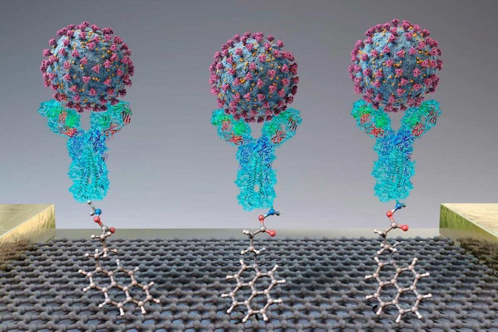 Nuevo biosensor diagnostica coronavirus en un minuto