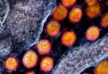 Hallan la ‘bala mágica’ que bloquea al coronavirus Hallan ‘bala mágica’ que bloquea al coronavirus