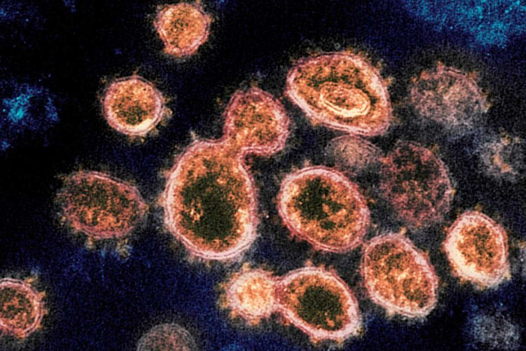 Detectan 200 mutaciones genéticas recurrentes en el coronavirus