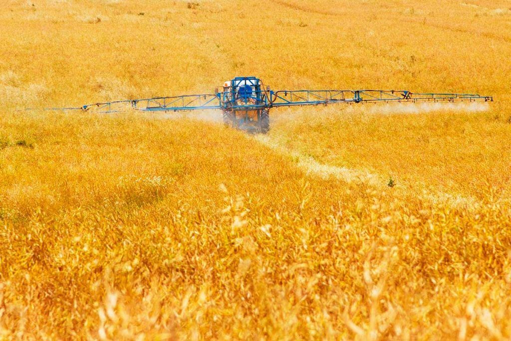 Vinculan celiaquía con contaminantes químicos