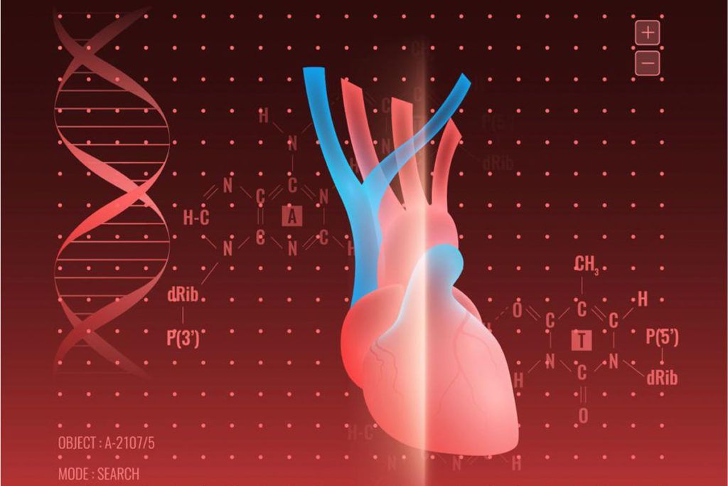La IA identifica genes relacionados con la insuficiencia cardíaca