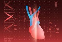La IA identifica genes relacionados con la insuficiencia cardíaca La IA identifica genes relacionados con la insuficiencia cardíaca