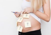 Estrés prenatal y microbiota del bebé Estrés prenatal y microbiota del bebé