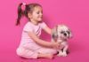 ¿Qué edad tiene su perro en años humanos? ¿Qué edad tiene su perro en años humanos?