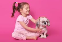 ¿Qué edad tiene su perro en años humanos? ¿Qué edad tiene su perro en años humanos?