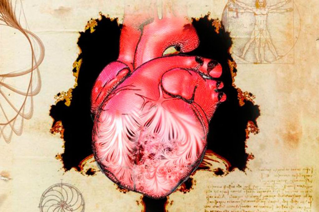 Leonardo da Vinci adelantó hace 500 años las estructuras moleculares internas del corazón
