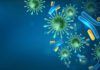 Confirmada inmunidad a largo plazo tras infección por coronavirus Confirmada inmunidad a largo plazo tras infección por coronavirus