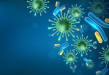 Confirmada inmunidad a largo plazo tras infección por coronavirus Confirmada inmunidad a largo plazo tras infección por coronavirus