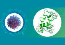 Nueva estrategia antiviral para Covid-19 Nueva estrategia antiviral para Covid-19