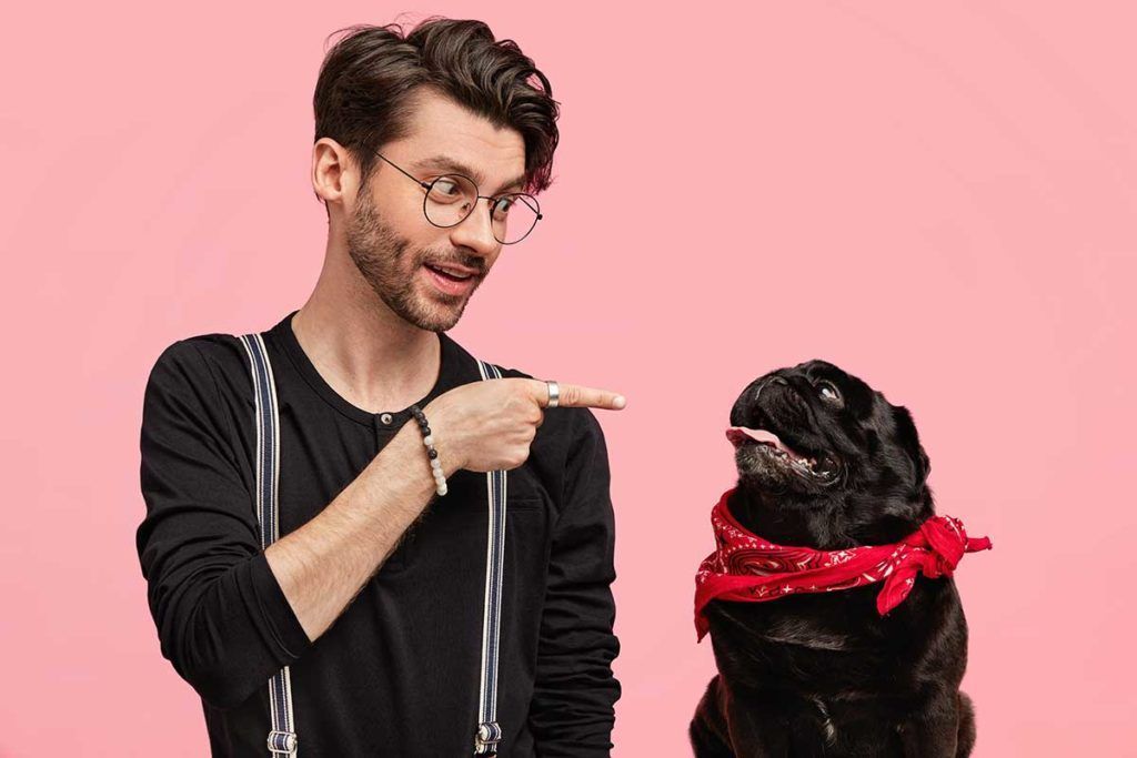 ¿Cómo procesan los perros los rostros humanos?