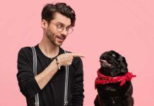 ¿Cómo procesan los perros los rostros humanos? ¿Cómo procesan los perros los rostros humanos?