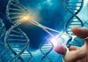 Éxito de CRISPR contra cánceres metastásicos Éxito de CRISPR contra cánceres metastásicos